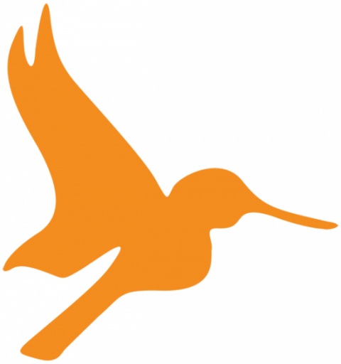 Orange hummingbird graphic