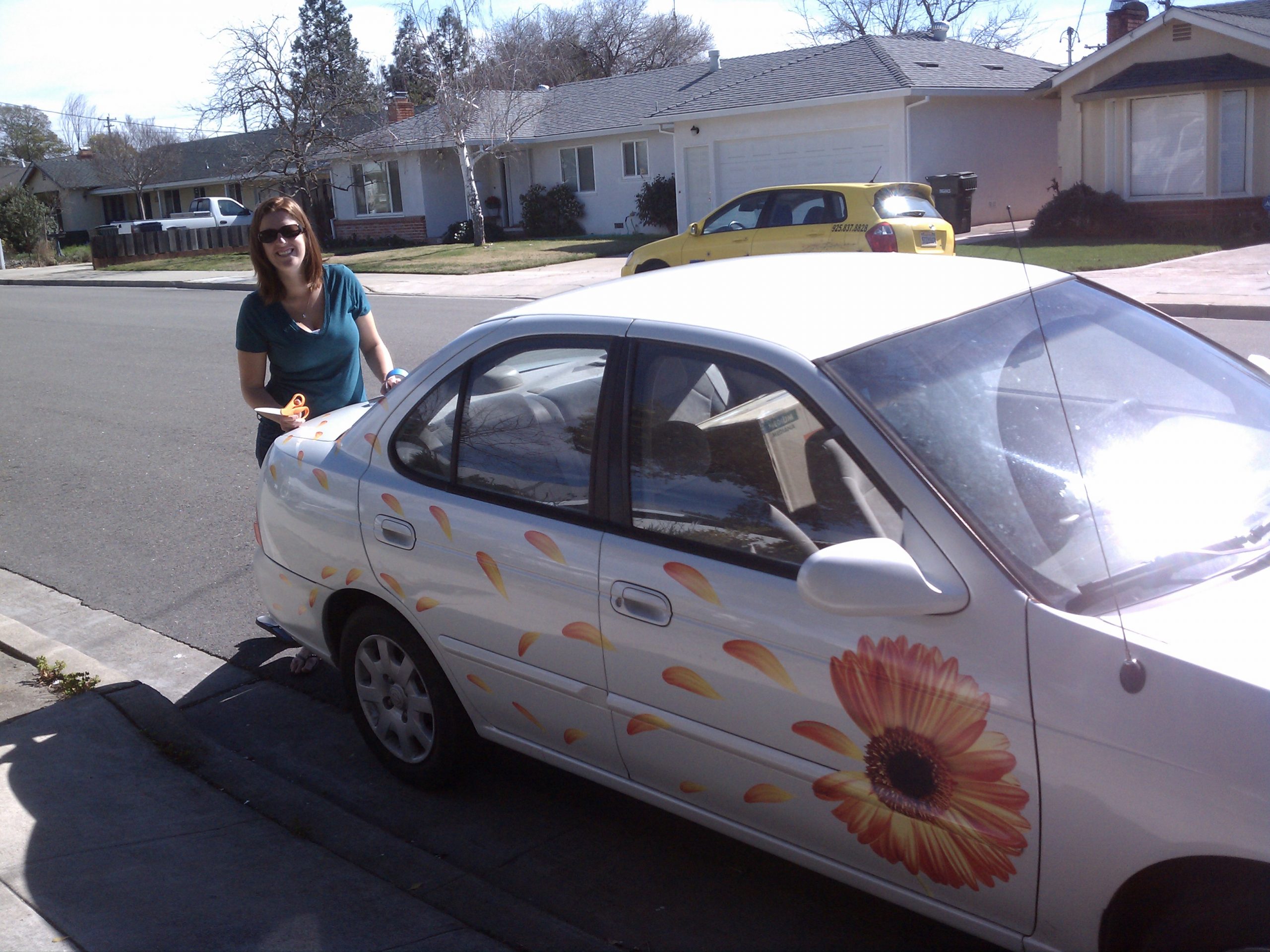 Nissan Altimma White Gerber Daisy and petals